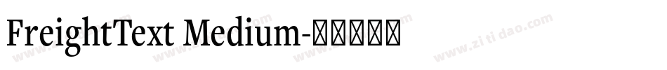 FreightText Medium字体转换